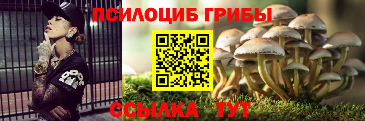 Галлюциногенные грибы GOLDEN TEACHER  Вход с VPN  Невинномысск 